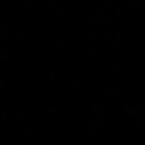 Meet your Posher, Reese